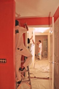 Professional Paint Contractors