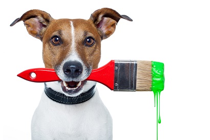 Interior Painting Safety Tips for Pets