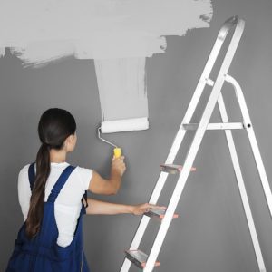 Bigstock Decorator Painting Grey Wall I 224705029